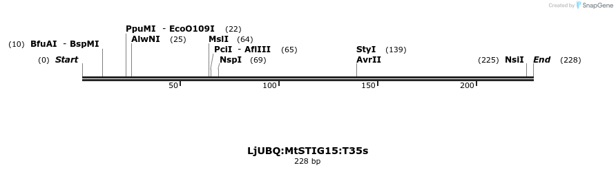 350659_map