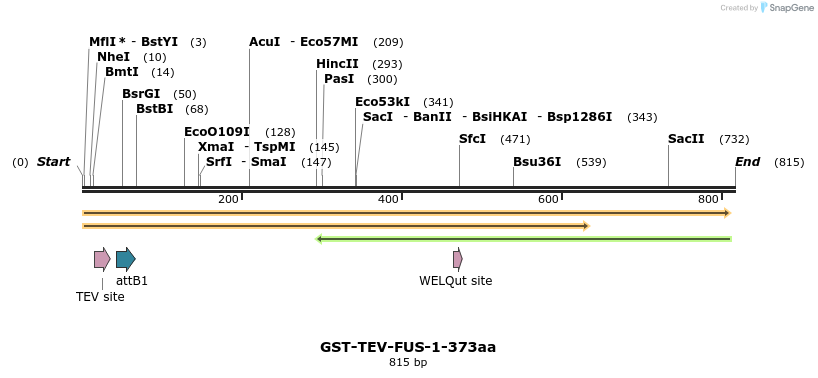 35077_map