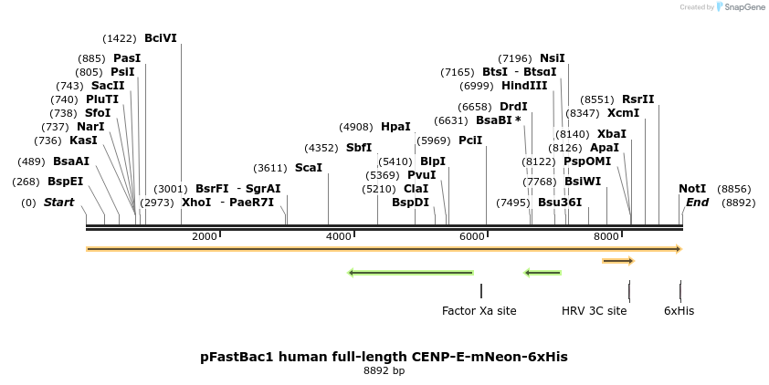 350771_map
