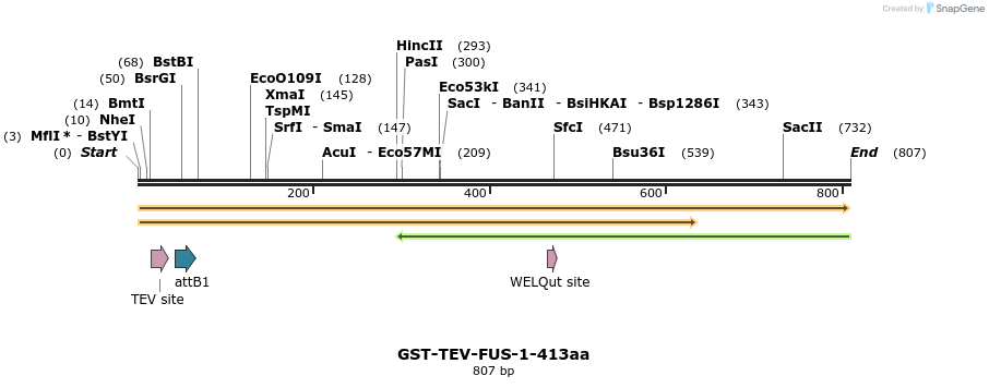 35079_map
