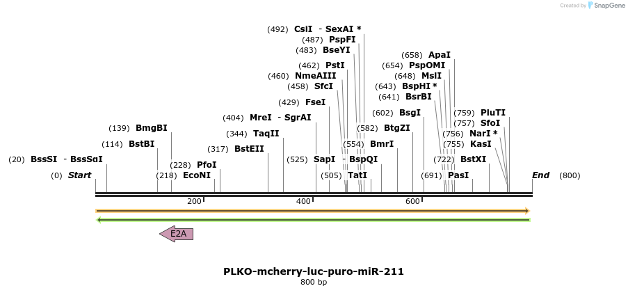 35081_map