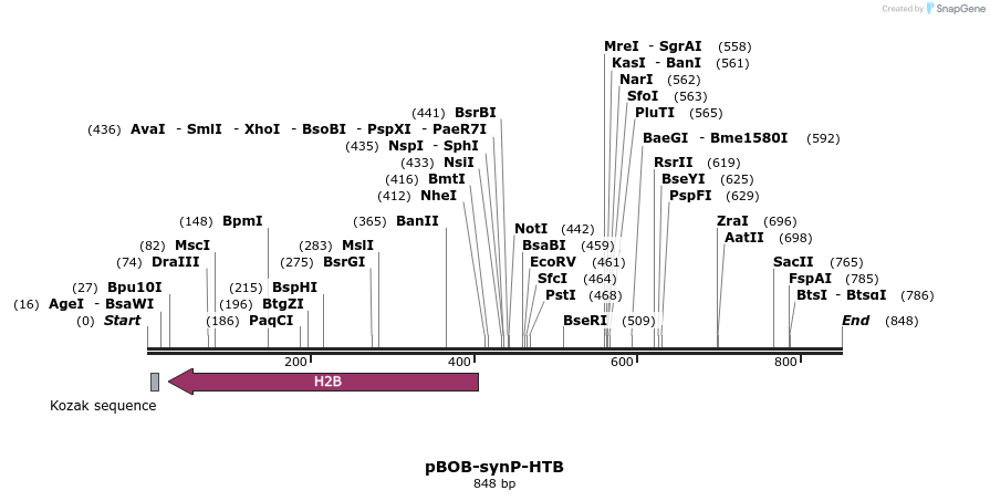 35083_map