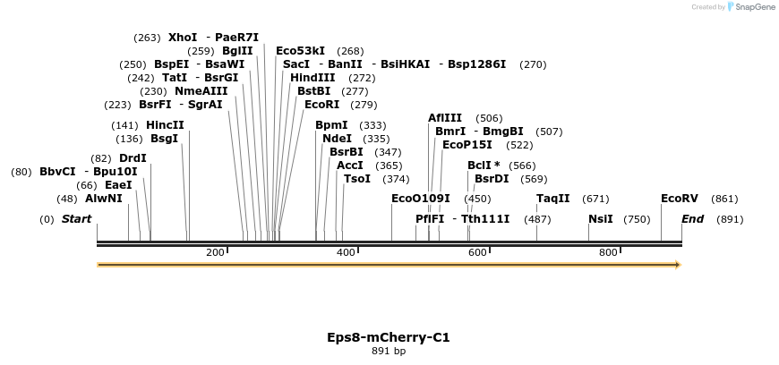 35084_map