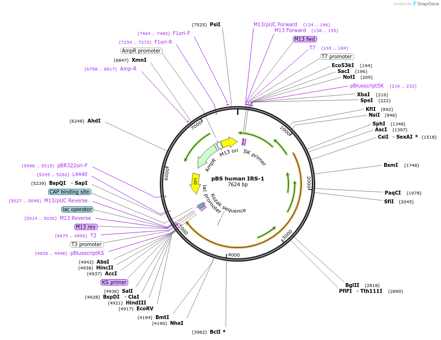350969_map