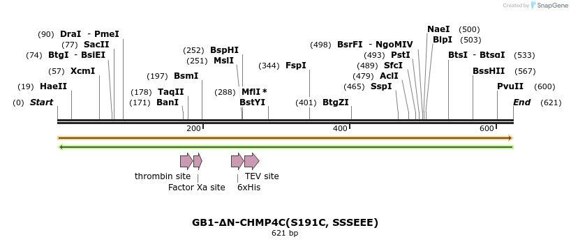 350996_map