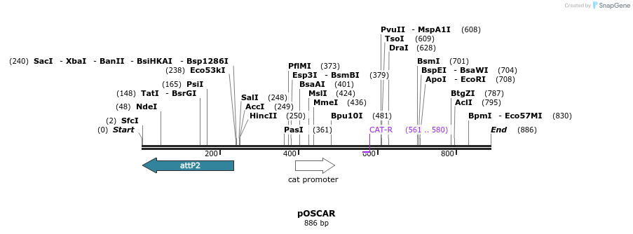 35100_map