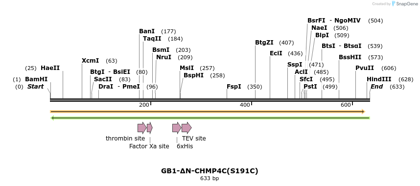 351002_map