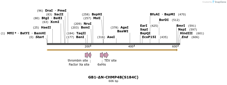 351004_map