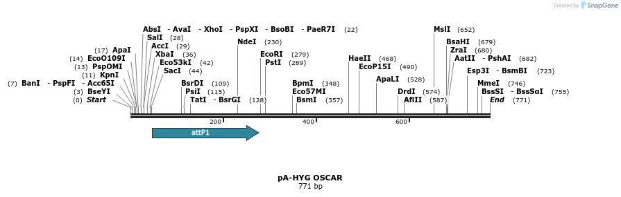 35101_map