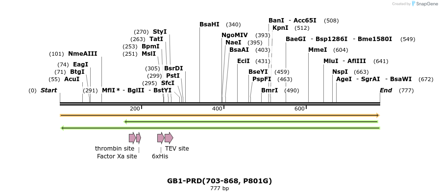 351011_map