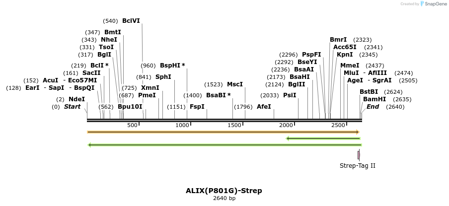 351013_map