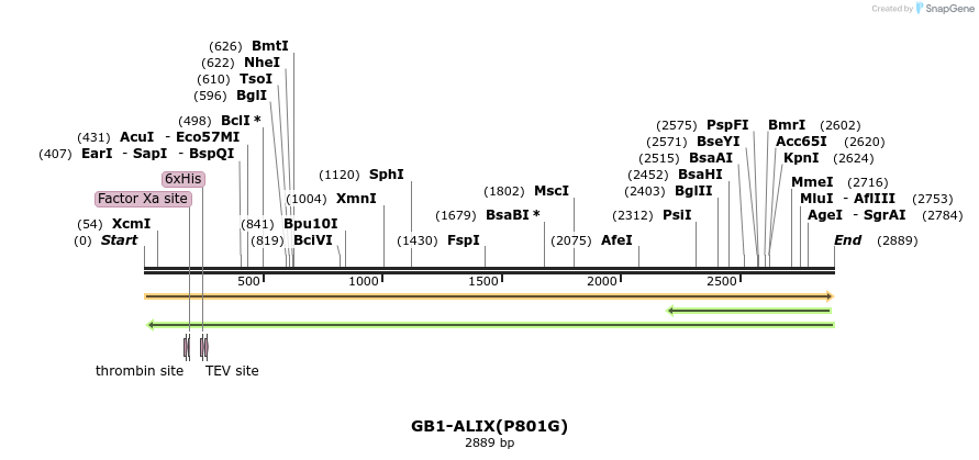 351016_map