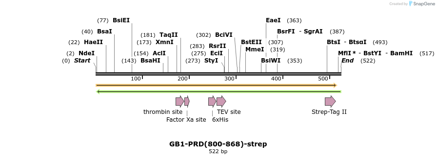 351018_map