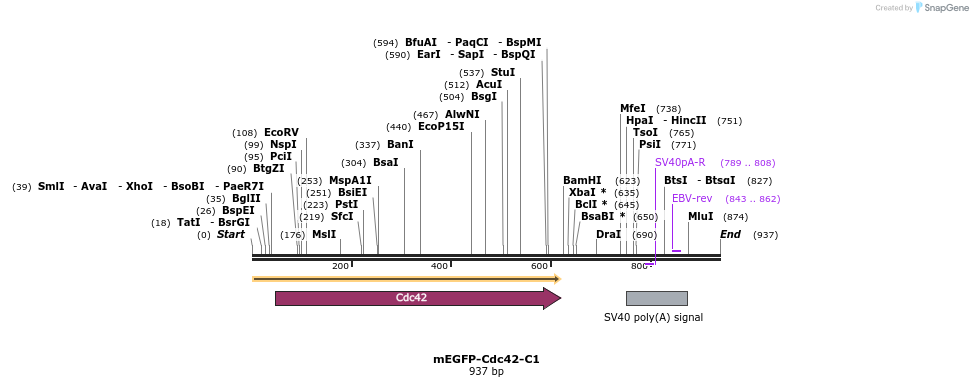 35103_map