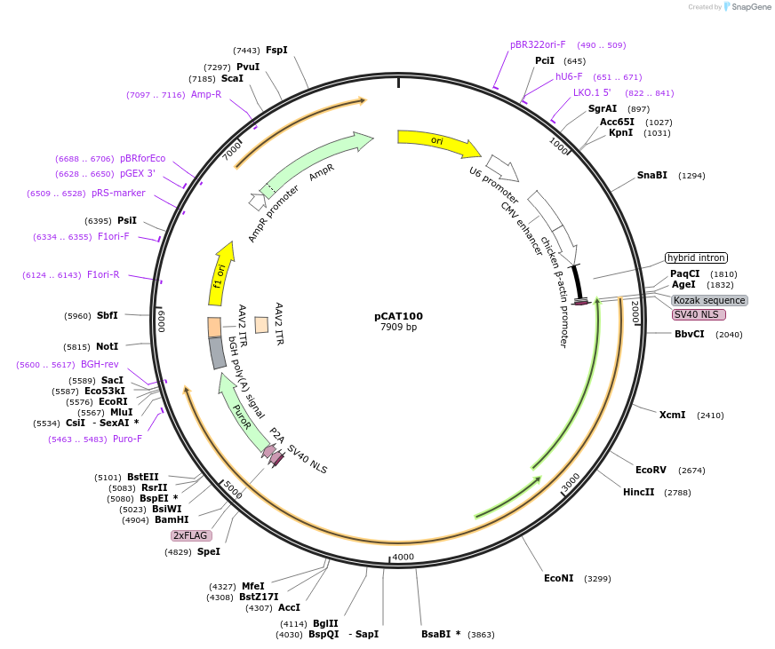 351031_map