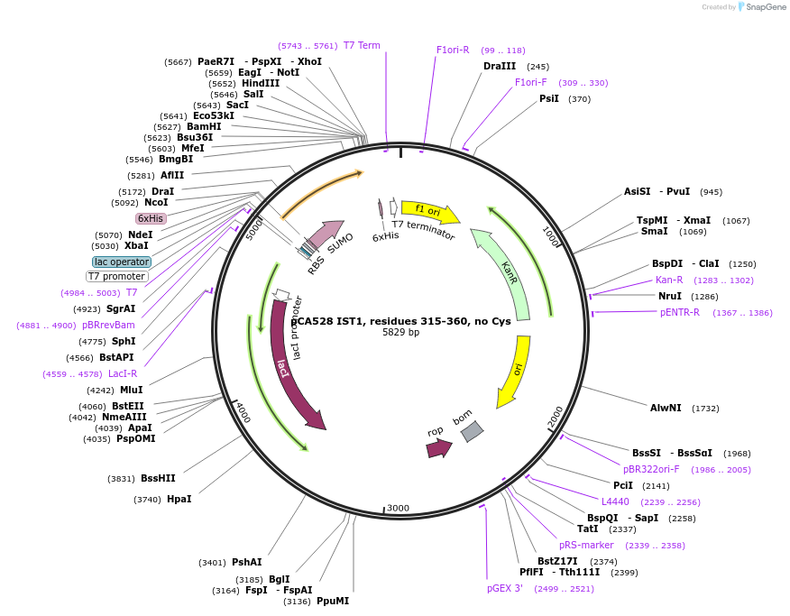 351041_map