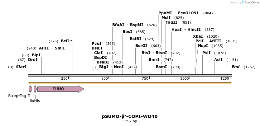 351160_map