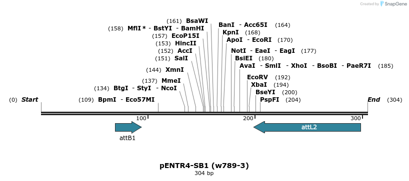 35117_map