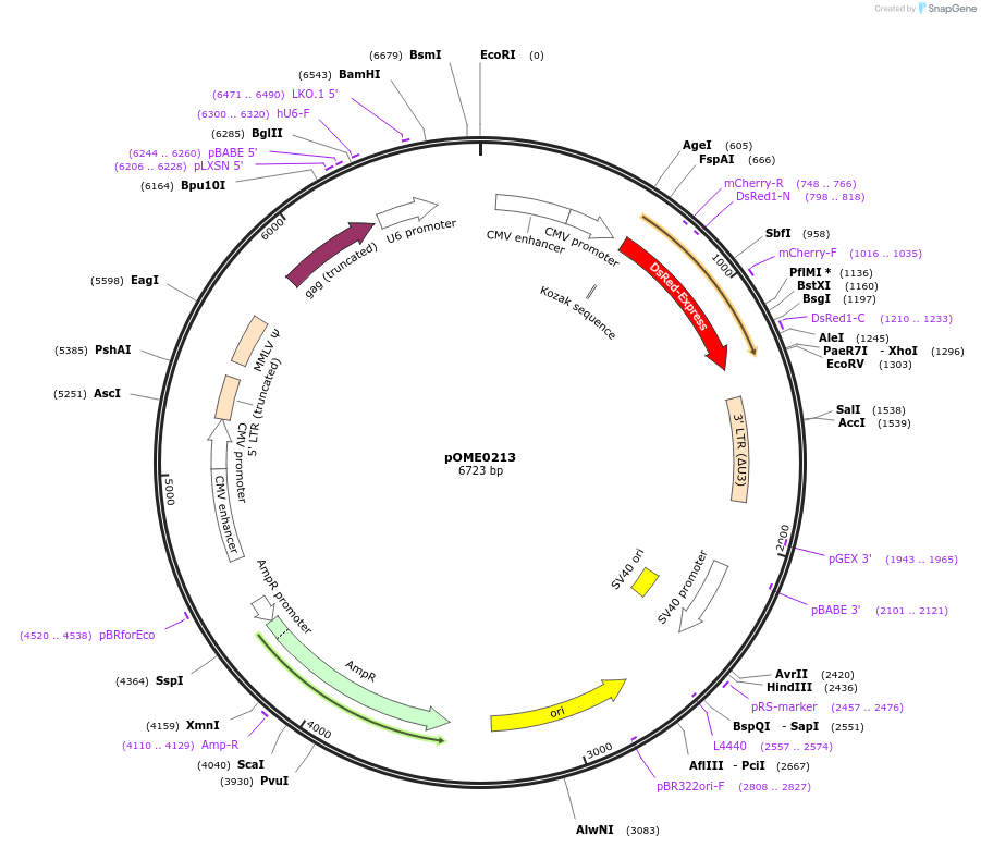 351302_map