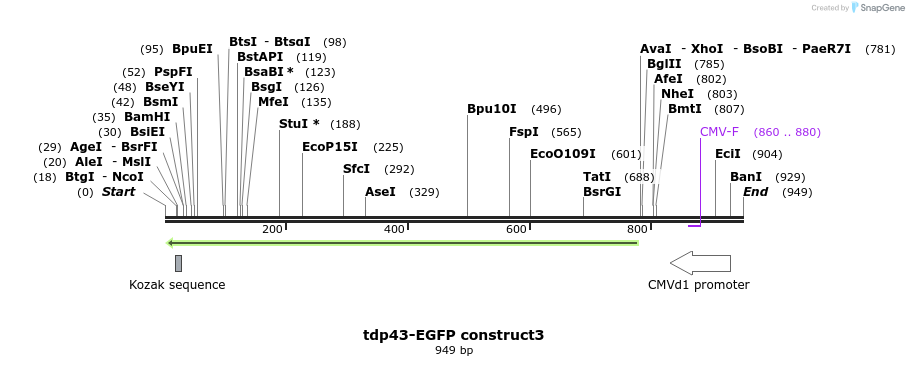 35133_map
