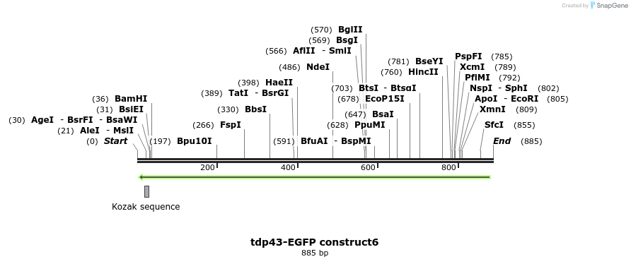 35136_map