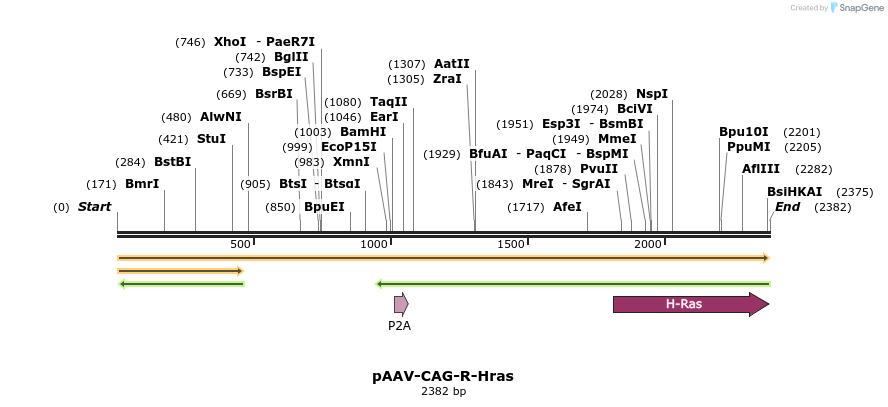 351364_map