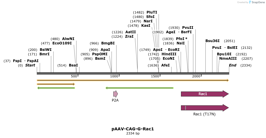 351365_map