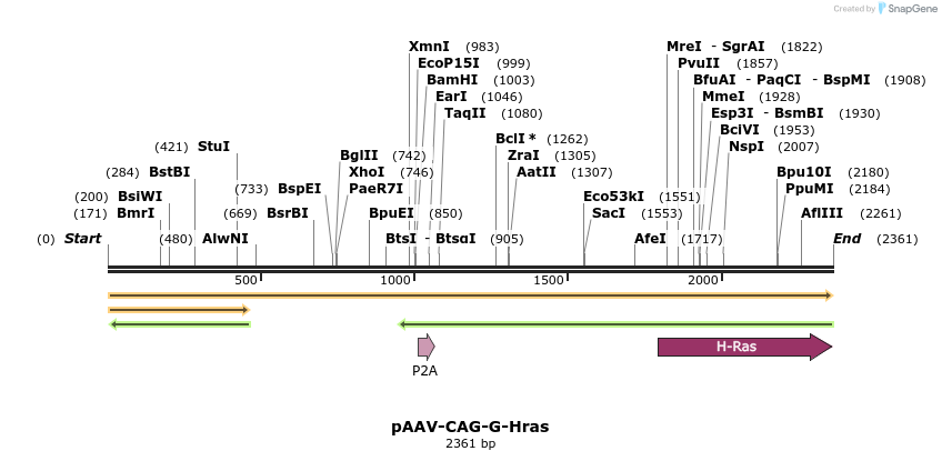 351366_map