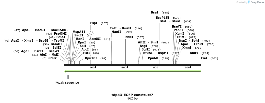 35137_map