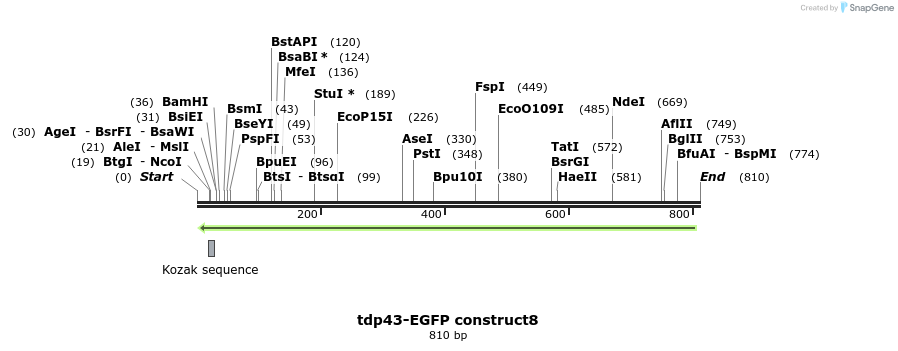 35138_map