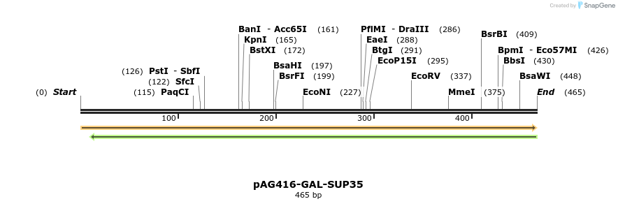 351410_map
