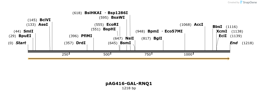 351411_map