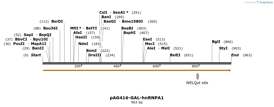 351415_map