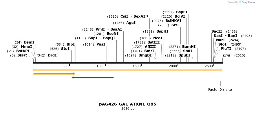 351417_map