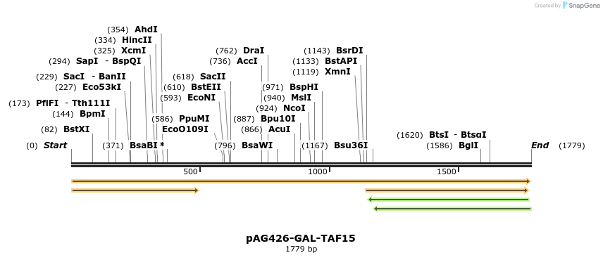 351418_map