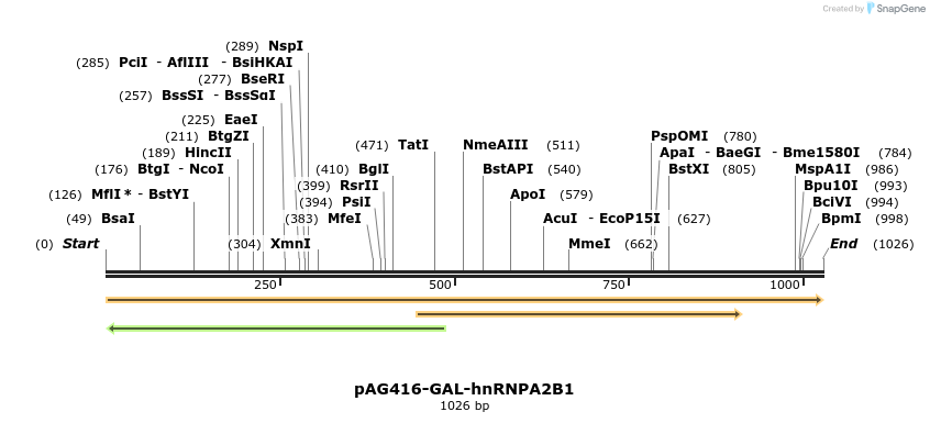 351419_map