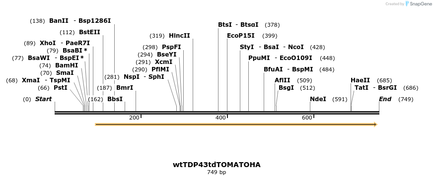 35142_map