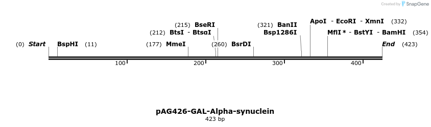 351420_map