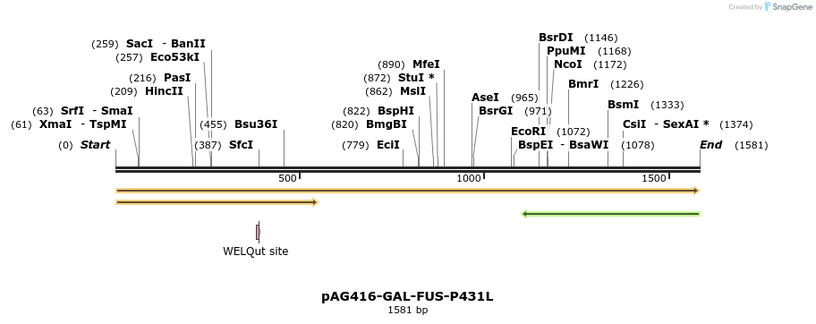 351422_map
