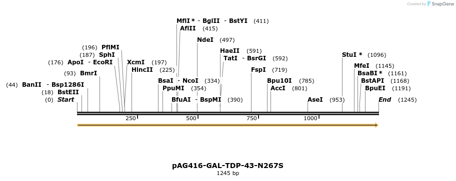 351425_map
