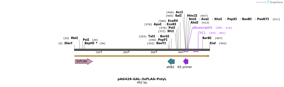 351432_map