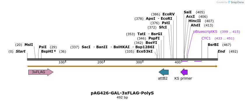 351433_map