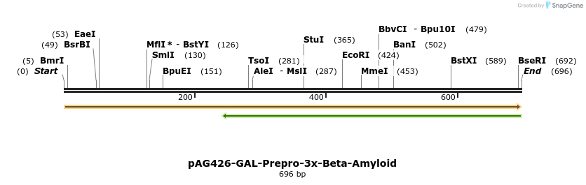 351435_map