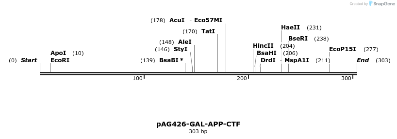 351437_map