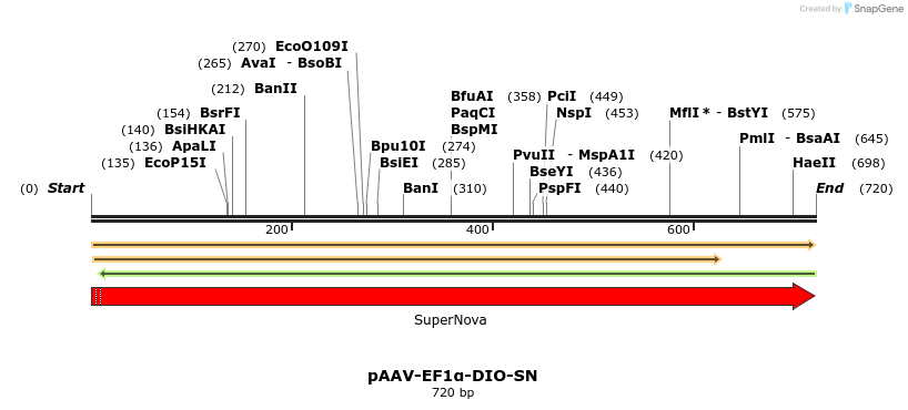 351496_map