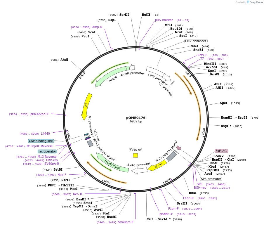 351502_map