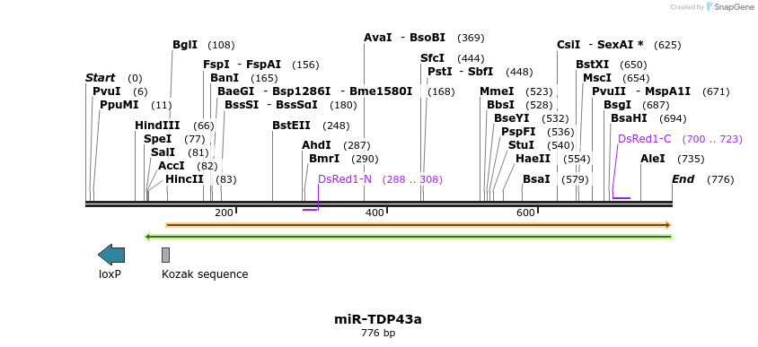 35151_map