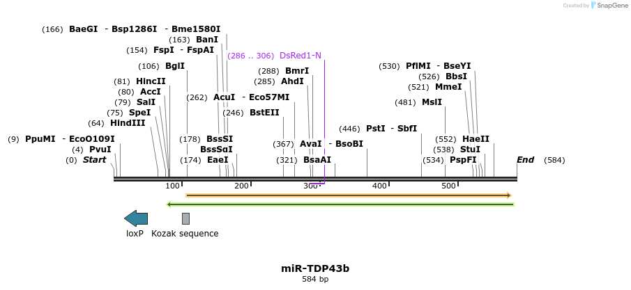 35152_map