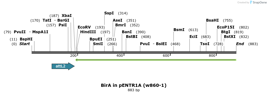 35158_map