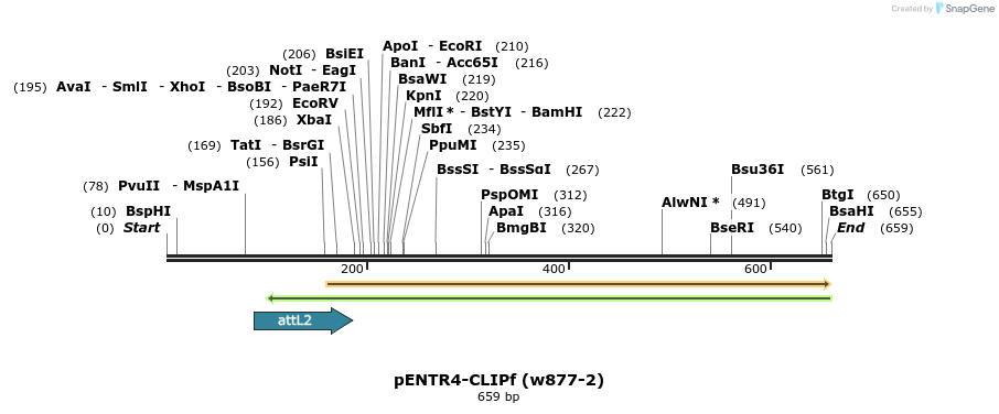 35162_map